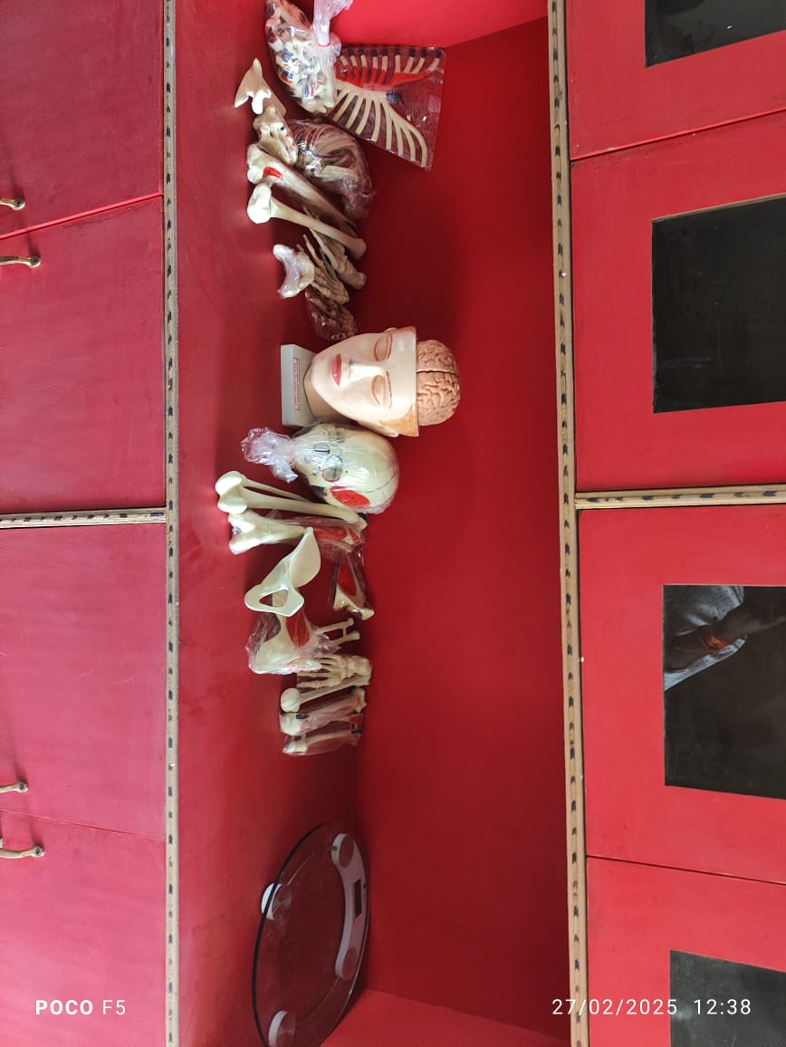 Anatomy Lab